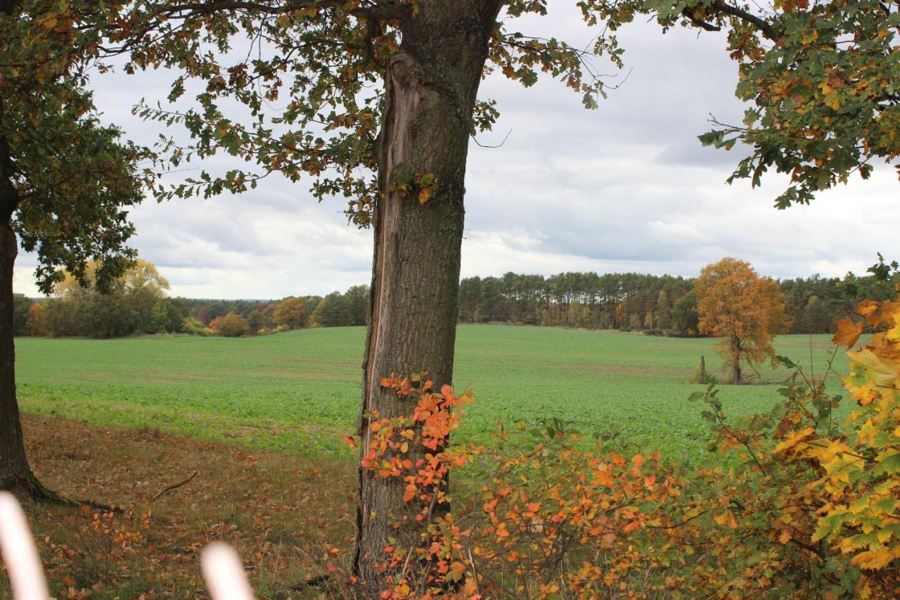 Gospodarstwo Agroturystyczne Agroletnica Świdnica المظهر الخارجي الصورة