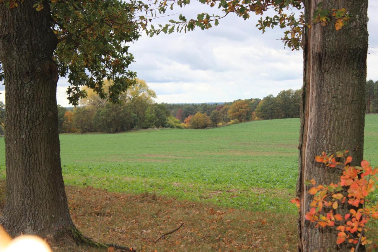 Gospodarstwo Agroturystyczne Agroletnica Świdnica المظهر الخارجي الصورة