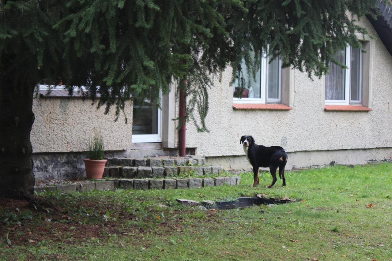 Gospodarstwo Agroturystyczne Agroletnica Świdnica المظهر الخارجي الصورة