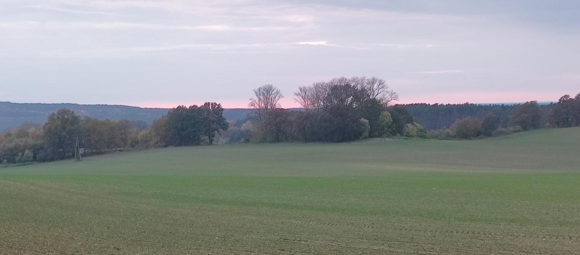 Gospodarstwo Agroturystyczne Agroletnica Świdnica المظهر الخارجي الصورة